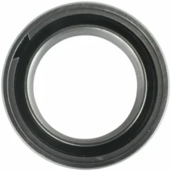 Enduro Bearings ABEC5 61803 SRS Bearing